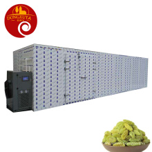 Grape Heat Pump Dryer Grape Drying Dehydration Grape Drying Air Energy Heat Pump Dryer